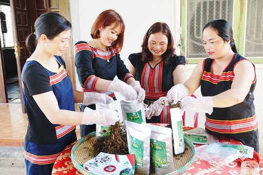 Cải khô muối ống lồ ô của người Gié Triêng