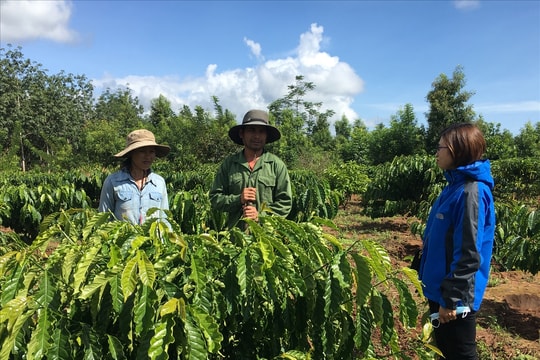 Ngọc Hồi (Kon Tum): Phấn đấu 100% hộ DTTS có đất ở, đất sản xuất