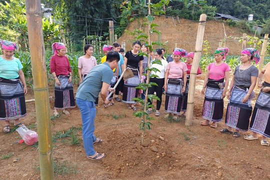 Nhận diện thực trạng kinh tế - xã hội theo điều tra phiếu xã: Nhìn lại công tác đào tạo nghề (Bài 6)