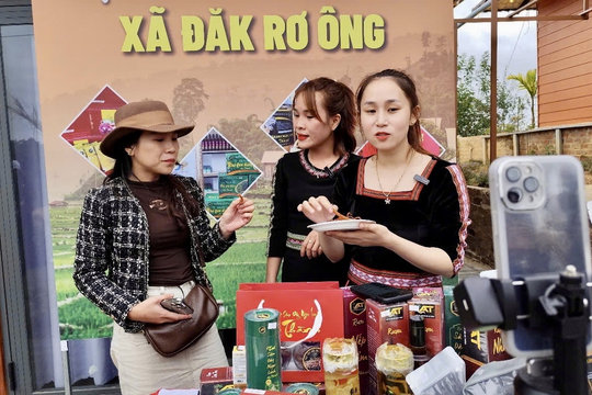 Kết quả Cuộc điều tra 53 DTTS là cơ sở để tỉnh Kon Tum tiếp tục đẩy mạnh chuyển đổi số trong vùng đồng bào DTTS