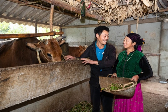 Động lực đưa đồng bào DTTS ở Lũng Táo vươn lên thoát nghèo