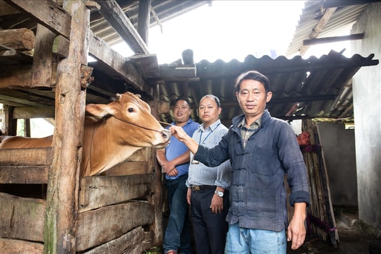Gặp lại ở Hố Quáng Phìn...