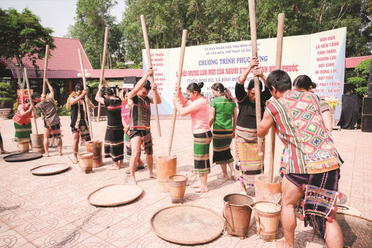 Trên quê hương Anh hùng Bom Bo