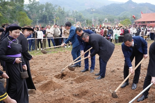 Lễ hội đình Đồng Đình và Ngày hội Văn hóa, Thể thao dân tộc Tày huyện Tiên Yên năm 2025