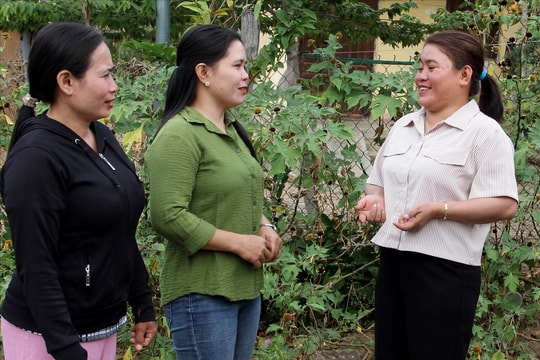Người phụ nữ “ba vai” xây dựng thôn làng no ấm