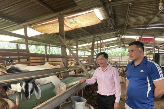 Đắk Nông: Người dân được tiếp cận nguồn vốn tín dụng chính sách kịp thời