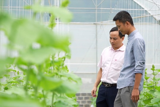 Ngân hàng Chính sách Xã hội huyện Lâm Bình (Tuyên Quang):  “Cầu nối” giúp người dân tiếp cận vốn vay ưu đãi