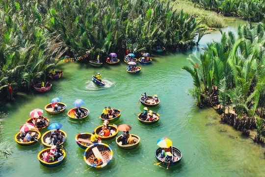 Quảng Nam phê duyệt 17 tuyến tham quan Rừng dừa Bảy Mẫu
