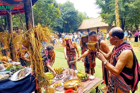 Lễ mừng lúa mới của người Cơ Tu