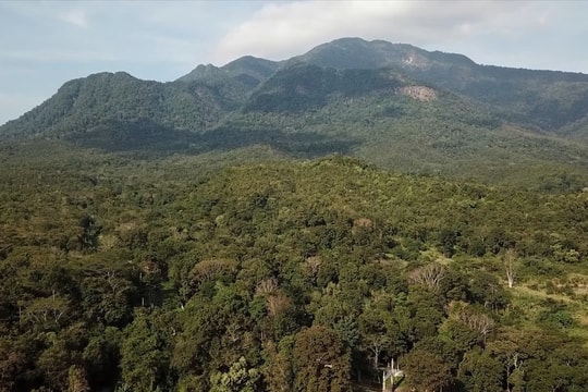 Kon Tum: 13.000ha rừng đặc dụng không thể tiếp tục giao khoán cho cộng đồng bảo vệ theo Chương trình MTQG 1719