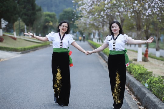Tháng 3 về ngắm hoa ban giữa lòng phố núi Lai Châu