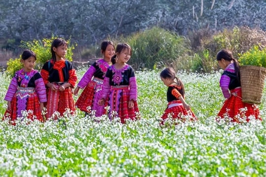 Cơ hội để “du lịch hoa” trở thành thương hiệu
