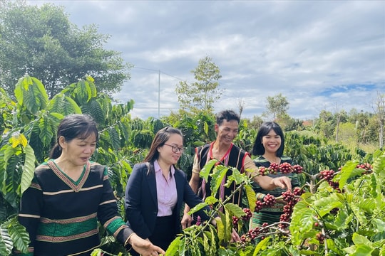 Đắk Nông: Phát huy hiệu quả tín dụng chính sách trong giai đoạn mới