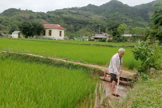 Người tiên phong trồng lúa nước ở Kỳ Neh