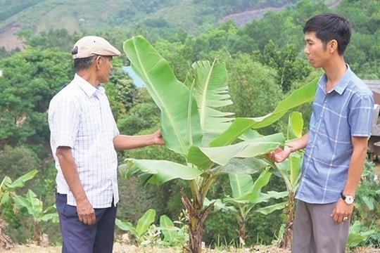 Chương trình MTQG 1719 tiếp sức cho người dân vùng khó