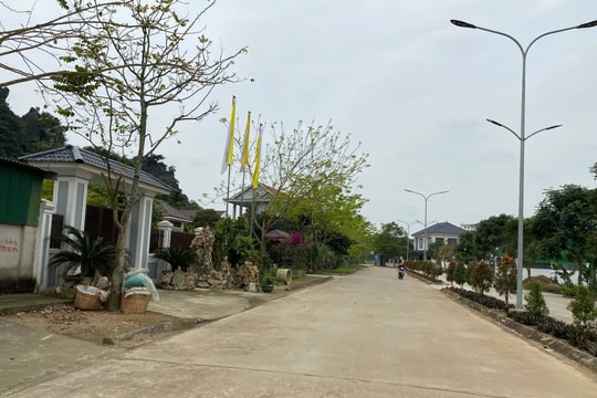 Bình yên xứ Đạo