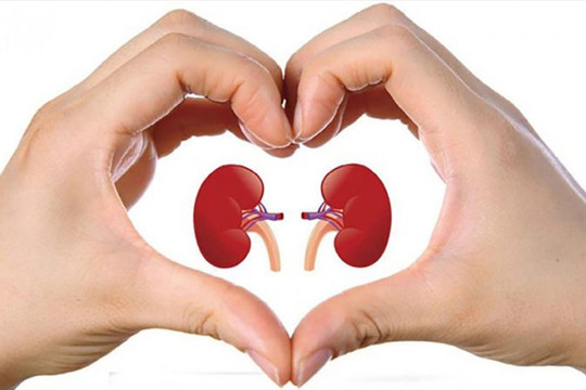 Cách phòng ngừa suy thận bạn nên biết