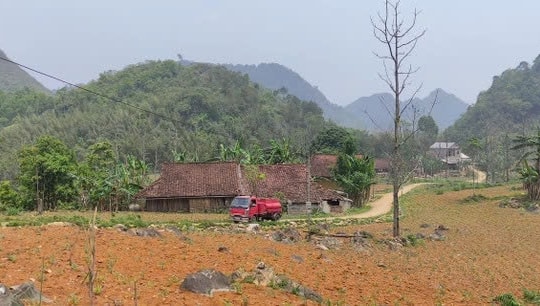 Cao Bằng khô hạn kéo dài khiến sản xuất vụ Xuân gặp nhiều khó khăn