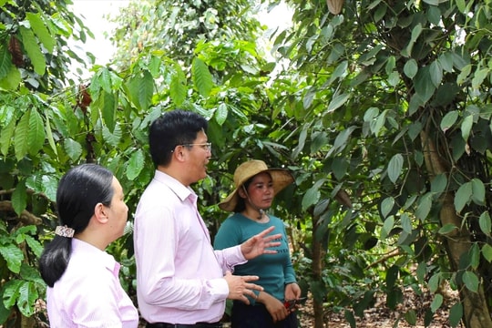 Đắk Nông:  Hiệu quả thực hiện tín dụng chính sách xã hội
