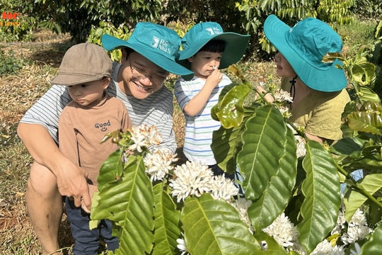 Trải nghiệm du lịch cà phê