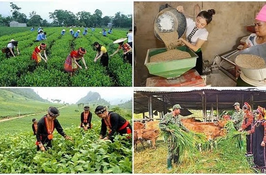 Điều chỉnh một số nội dung Chương trình mục tiêu quốc gia phát triển kinh tế - xã hội vùng DTTS và miền núi