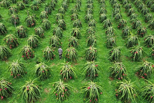 Huyện Bảo Yên triển khai hiệu quả các giải pháp giảm nghèo bền vững