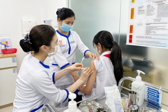 Gia Lai có số ca tử vong do bệnh dại cao nhất cả nước