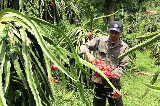 Nguồn lực Chương trình MTQG 1719 góp phần thúc đẩy phát triển kinh tế - xã hội ở Bảo Yên