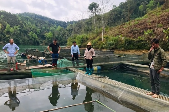Văn Lãng (Lạng Sơn): Đa dạng hóa các mô hình giảm nghèo