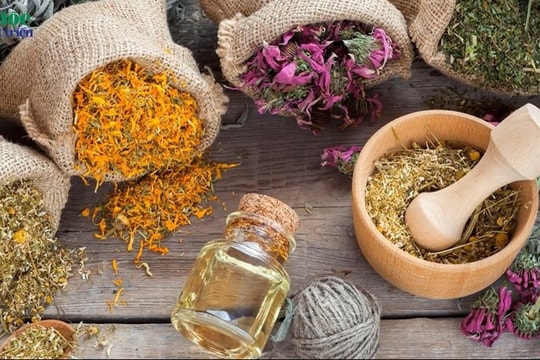 Thuốc Nam chữa cảm nắng trong mùa Hè