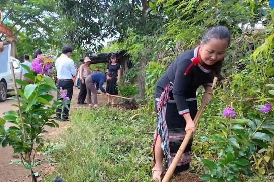 Chống ô nhiễm nhựa không quên trồng cây, giữ rừng