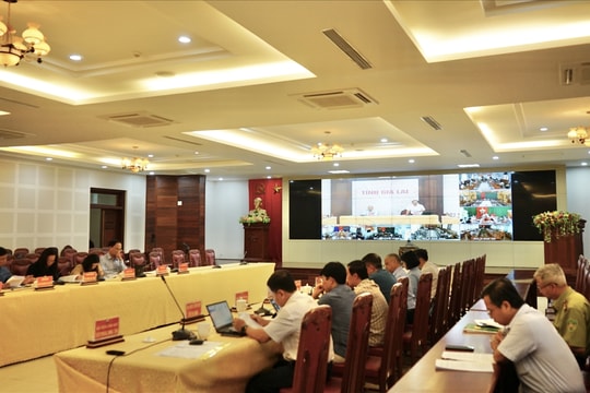 Gia Lai: Đánh giá, thúc đẩy tiến độ thực hiện Chương trình MTQG 1719