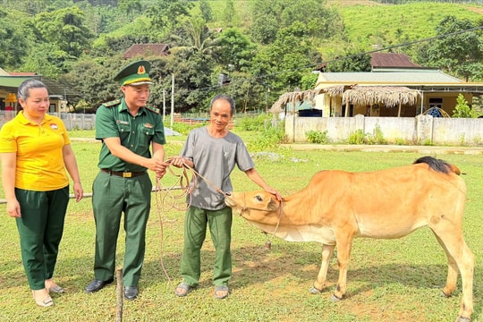Nghệ An: Bàn giao trâu, bò giống cho hộ nghèo vùng cao