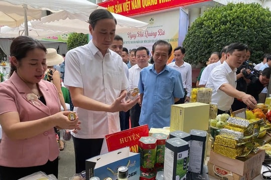 Phú Thọ: Quảng bá, kết nối hỗ trợ tiêu thụ sản phẩm OCOP và nông sản tiêu biểu