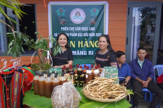 Kon Tum: Xã Tê Xăng tổ chức Phiên chợ sâm Ngọc Linh và các sản phẩm đặc trưng