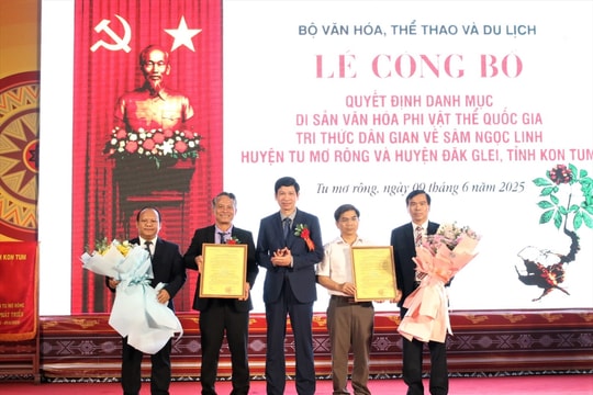 Công bố Quyết định sâm Ngọc Linh huyện Tu Mơ Rông và huyện Đăk Glei, tỉnh Kon Tum là Di sản văn hóa phi vật thể quốc gia