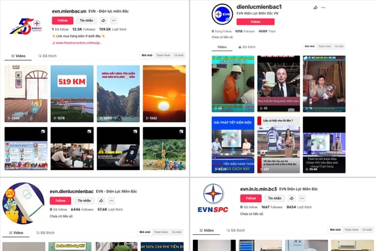 Cảnh báo mạo danh Tổng công ty Điện lực miền Bắc trên nền tảng video và mạng xã hội Tiktok để lừa đảo