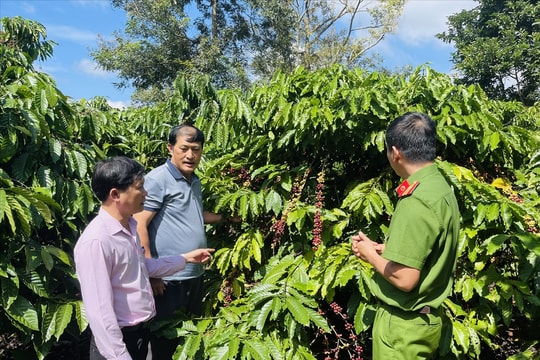 Chi nhánh Ngân hàng Chính sách Xã hội Đắk Nông: Lan tỏa chính sách nhân văn giúp người hoàn lương tái hòa nhập cộng đồng