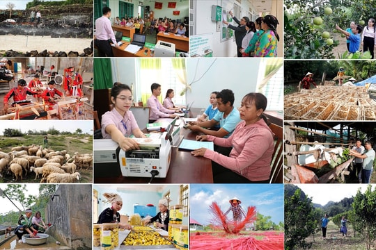 Ngân hàng Chính sách Xã hội: Xây dựng Đảng bộ vững mạnh toàn diện, đồng hành sự nghiệp phát triển đất nước
