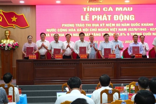 Cà Mau Phấn đấu đạt tăng trưởng ấn tượng sau hợp nhất