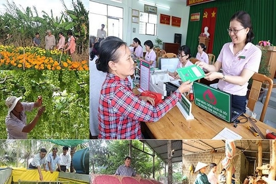Phổ biến, quán triệt sâu rộng, nâng cao hiệu quả tín dụng chính sách trong giai đoạn mới