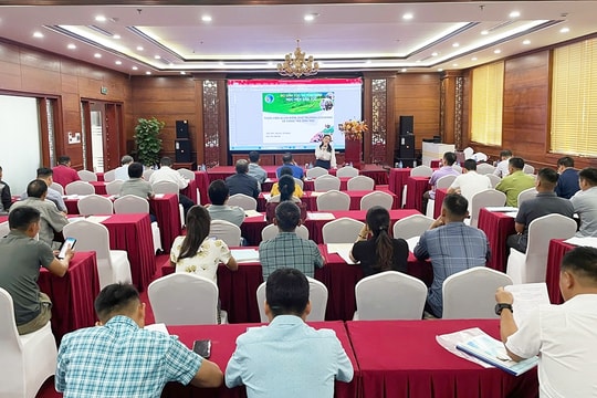 Hàng trăm bí thư chi bộ, trưởng thôn, khối phố được bồi dưỡng kiến thức dân tộc