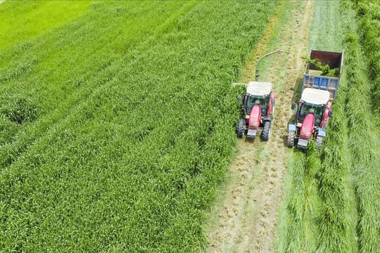 "Mở khóa tự nhiên" biến rào cản thành vòng tuần hoàn xanh tại trang trại sinh thái