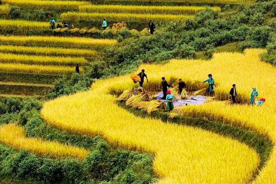 Thực hiện Chương trình MTQG DTTS và miền núi giai đoạn II: Sẽ phân cấp mạnh cho chính quyền địa phương