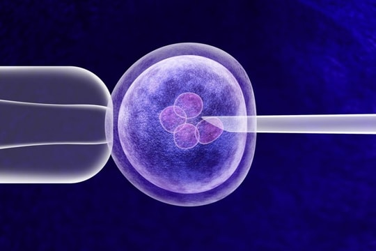Phụ nữ độc thân có nguyện vọng sinh con sẽ được làm IVF từ 1/10