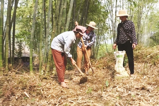 Sức sống mới ở Mường Khăng