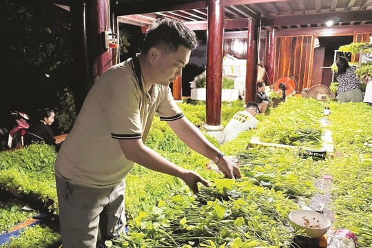 Đưa rau bò khai xuất ngoại