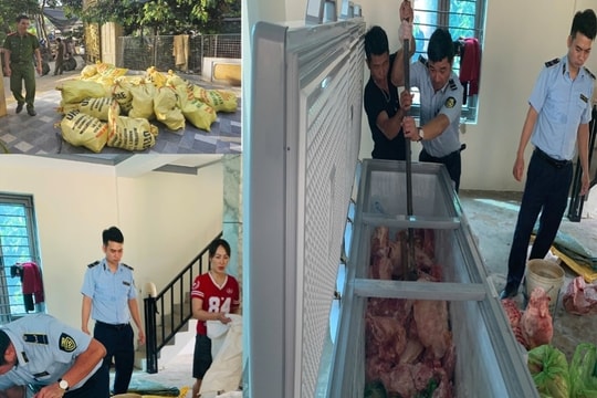 Thanh Hóa: Bắt giữ hình sự 4 đối tượng buôn bán hơn 1,6 tấn thịt lợn nhiễm dịch tả lợn châu Phi
