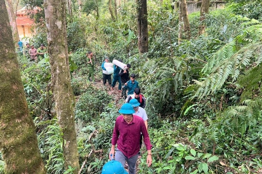 Vượt núi, băng rừng giúp đồng bào Xơ Đăng khôi phục lại vườn sâm Ngọc Linh do bão tàn phá