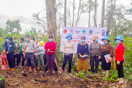Gia Lai: Nghiệm thu đề tài trồng và chế biến sản phẩm thương mại từ cây đảng sâm theo tiêu chuẩn GACP-WHO